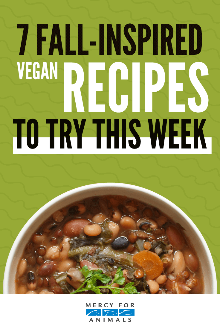 7 Fall-Inspired Vegan Recipes to Try This Week