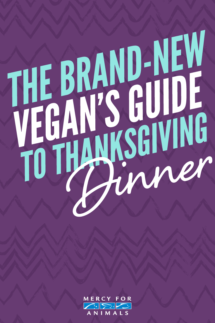 The Brand-New Vegan’s Guide to Thanksgiving Dinner