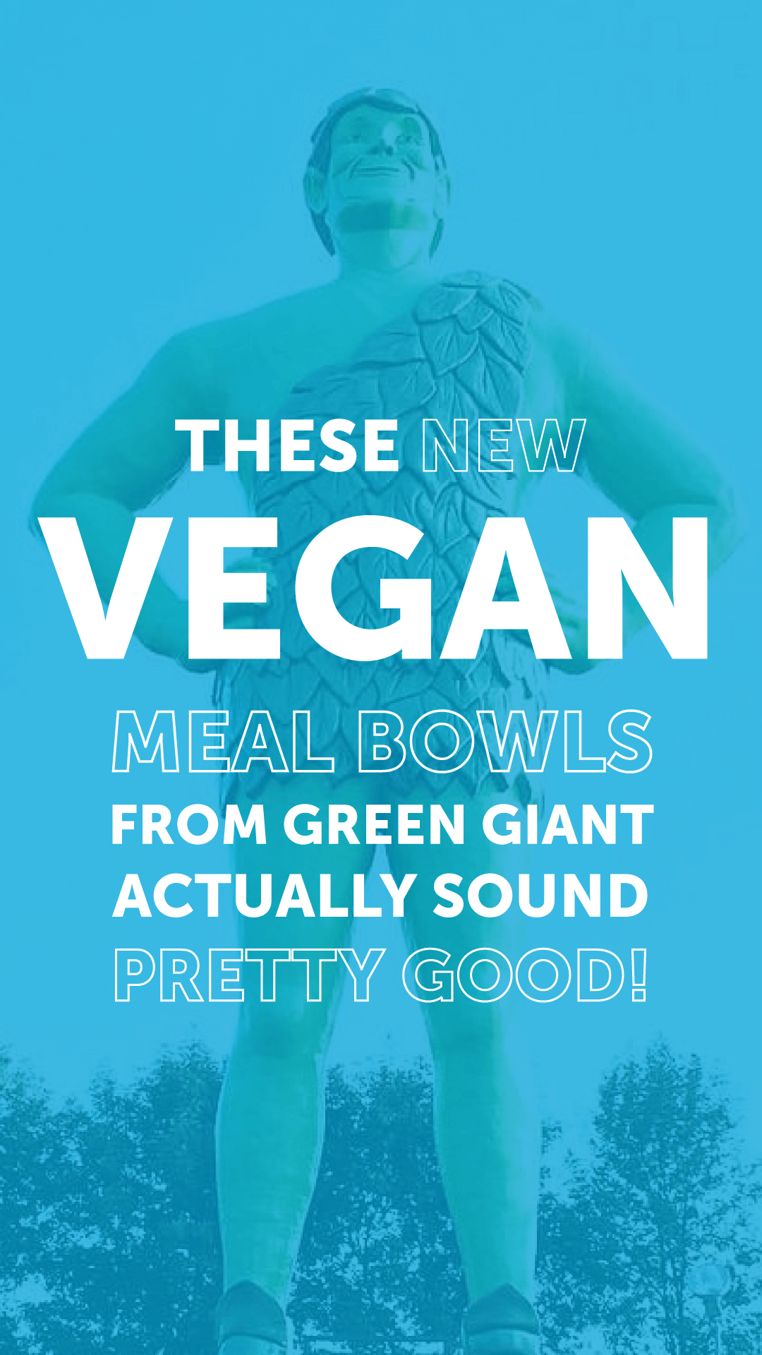 These New Vegan Meal Bowls From Green Giant Actually Sound Pretty Good