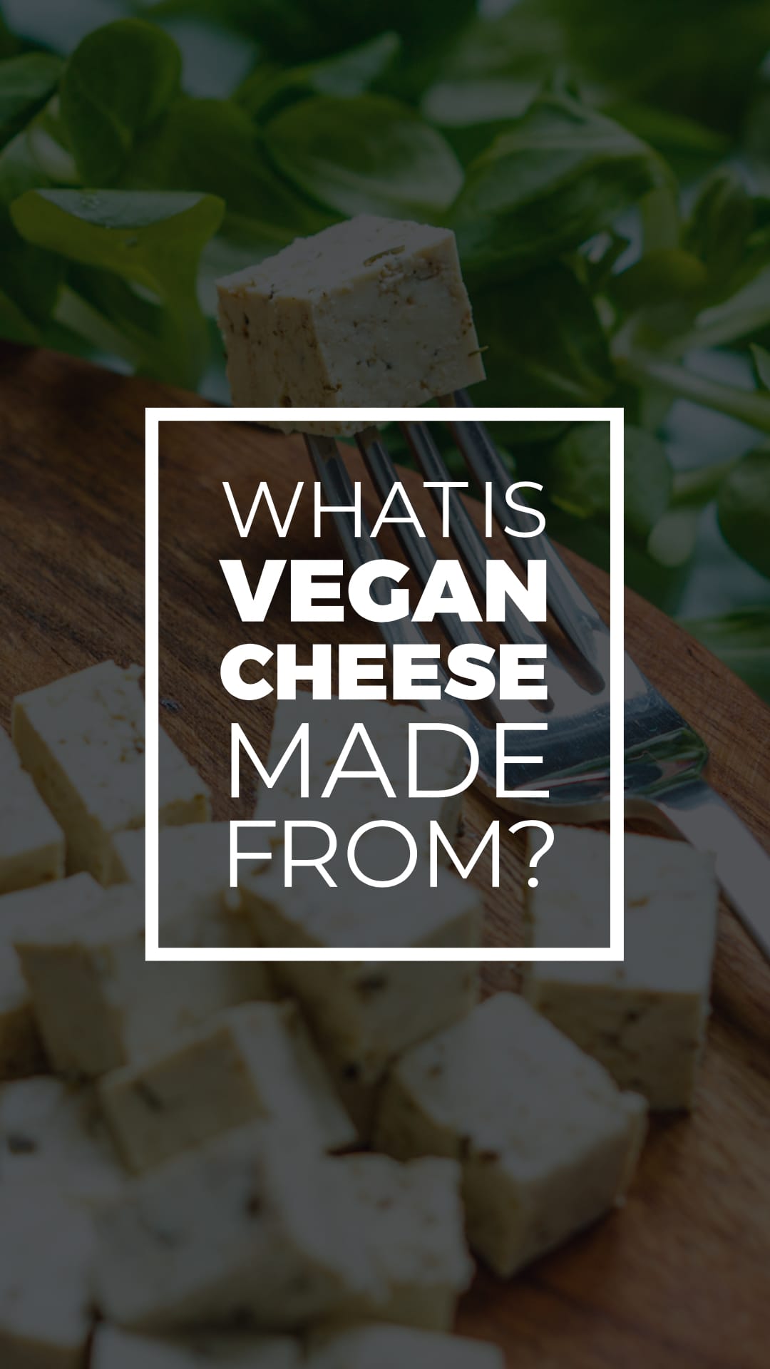 What Is Vegan Cheese Made From?