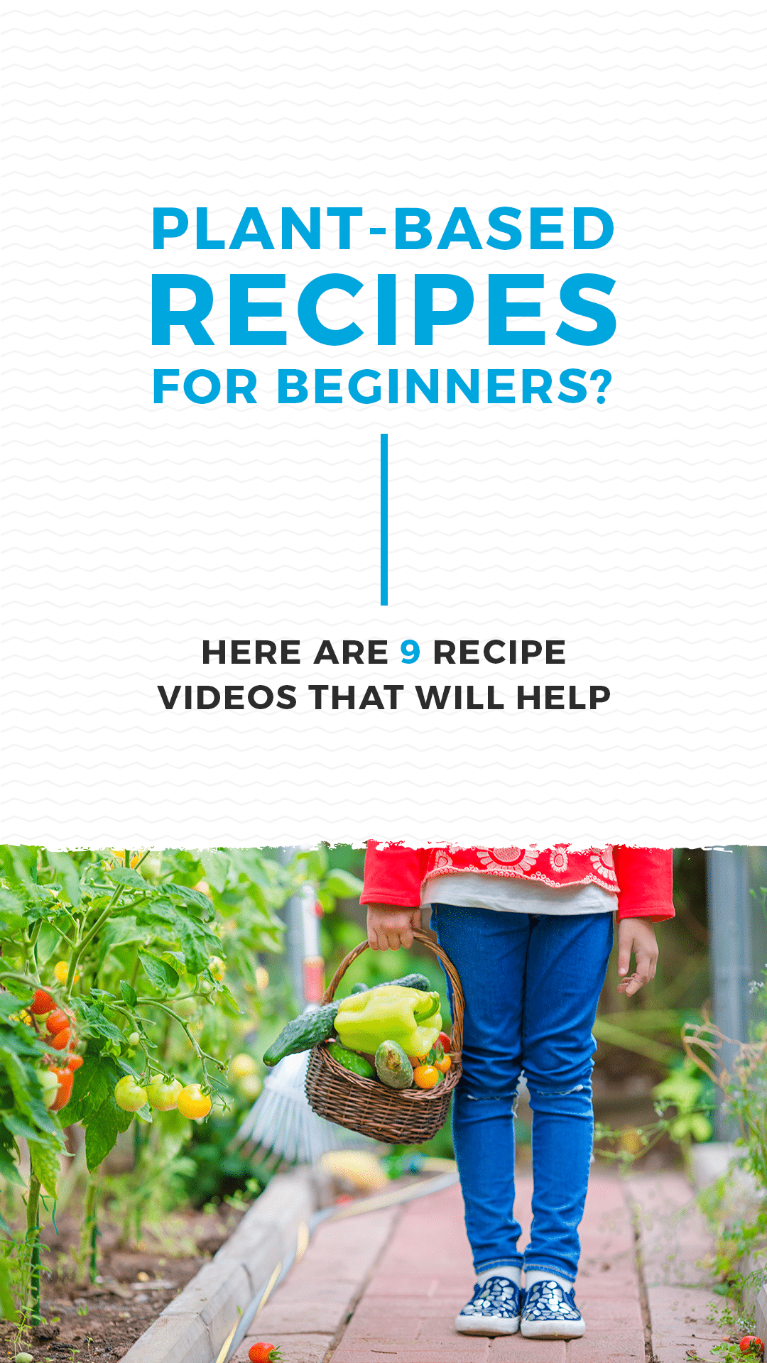 Plant-Based Recipes for Beginners? Here Are 9 Recipe Videos That Will Help