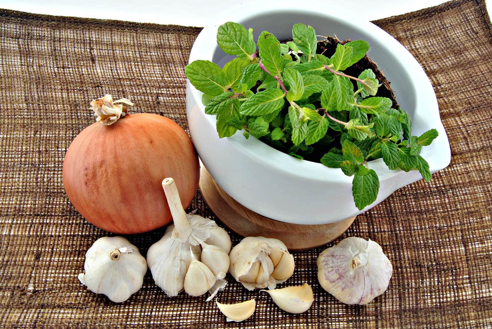 Cau cau - EligeVeg