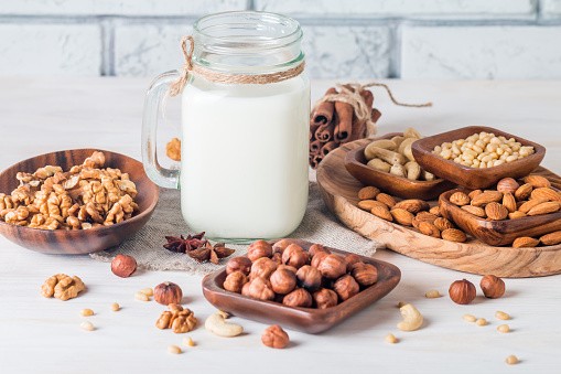 Guía completa para preparar leches vegetales en casa