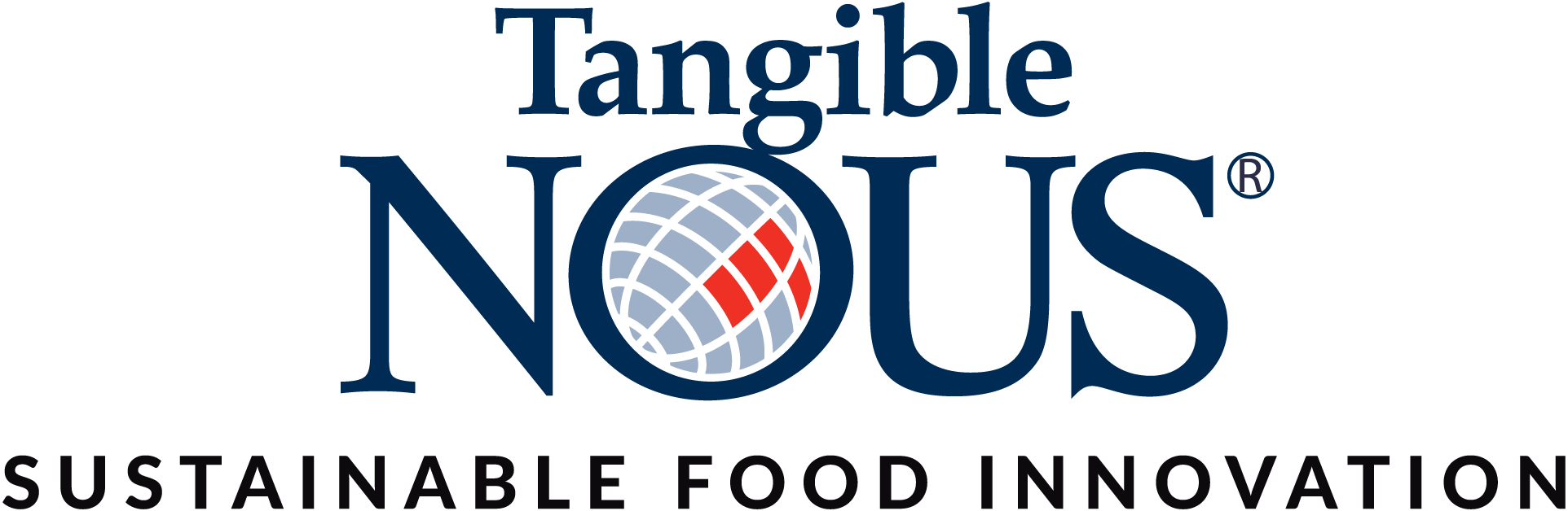 Tangible Nous Logo