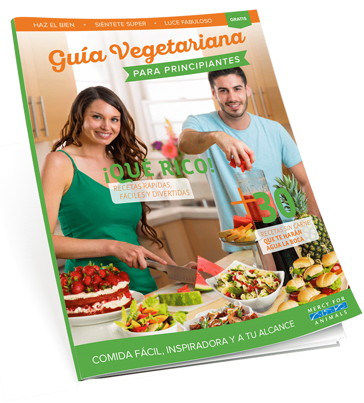 Obtén tu Guía vegetariana para principiantes