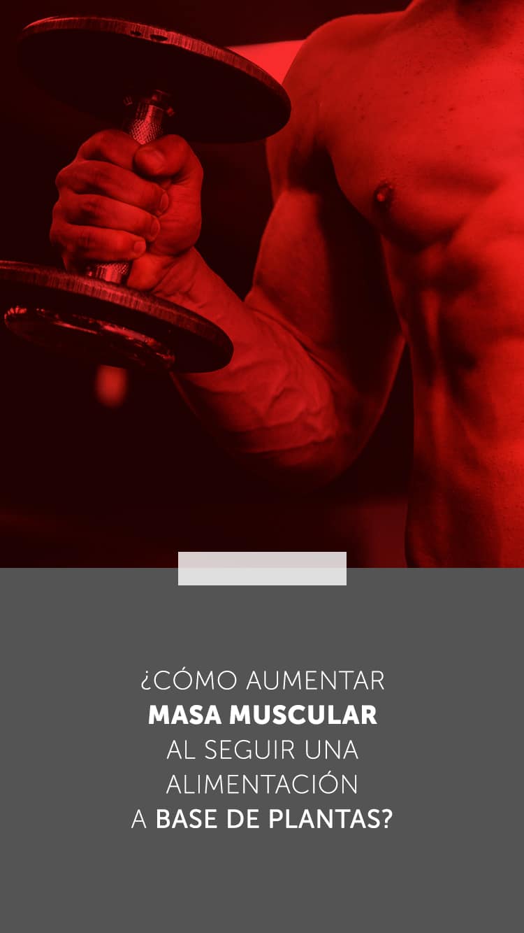 ¿Cómo aumentar masa muscular al seguir una alimentación a base de plantas?